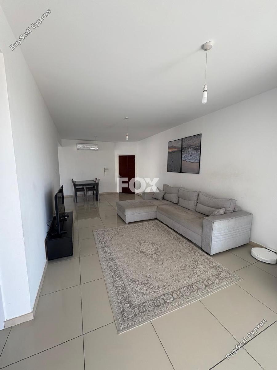2 bedroom apartment for rent paphos municipality paphos 8913341 image 17514706