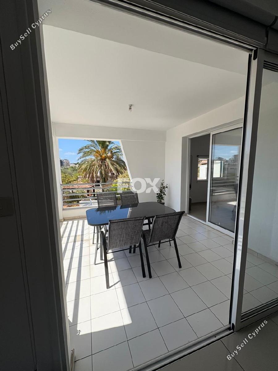 2 bedroom apartment for rent paphos municipality paphos 8913341 image 17514707