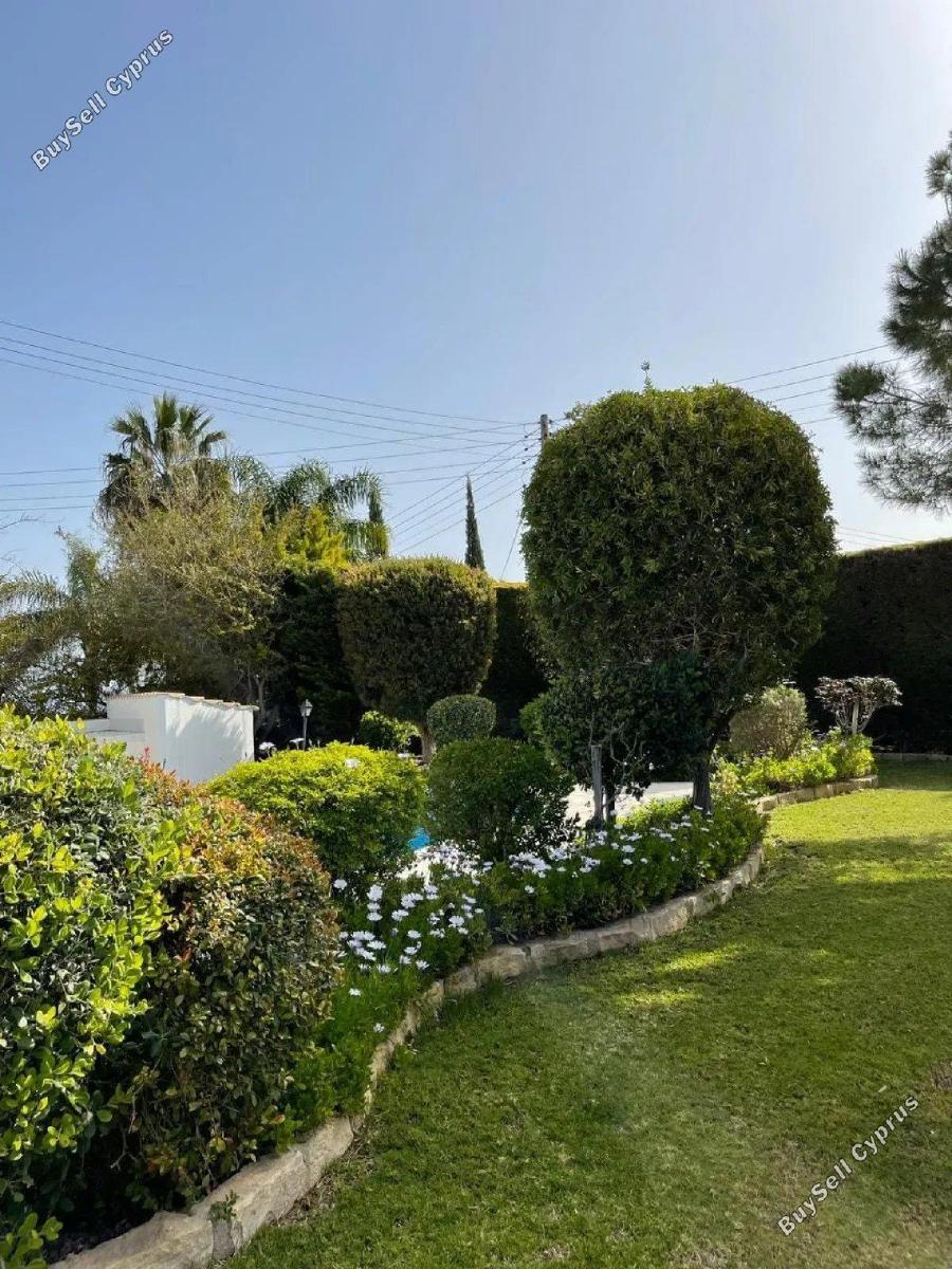 3 bedroom detached house for sale neo chorio paphos 8736341 image 16347695