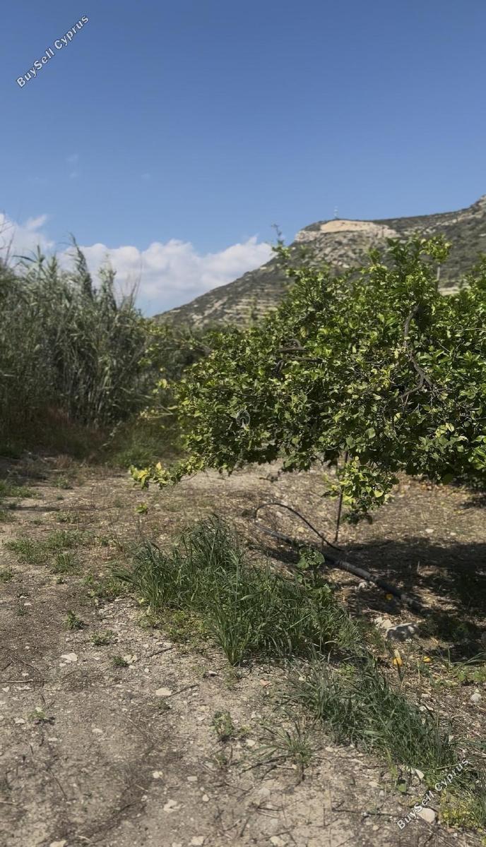 land for sale germasogeia limassol 8532341 image 17815001