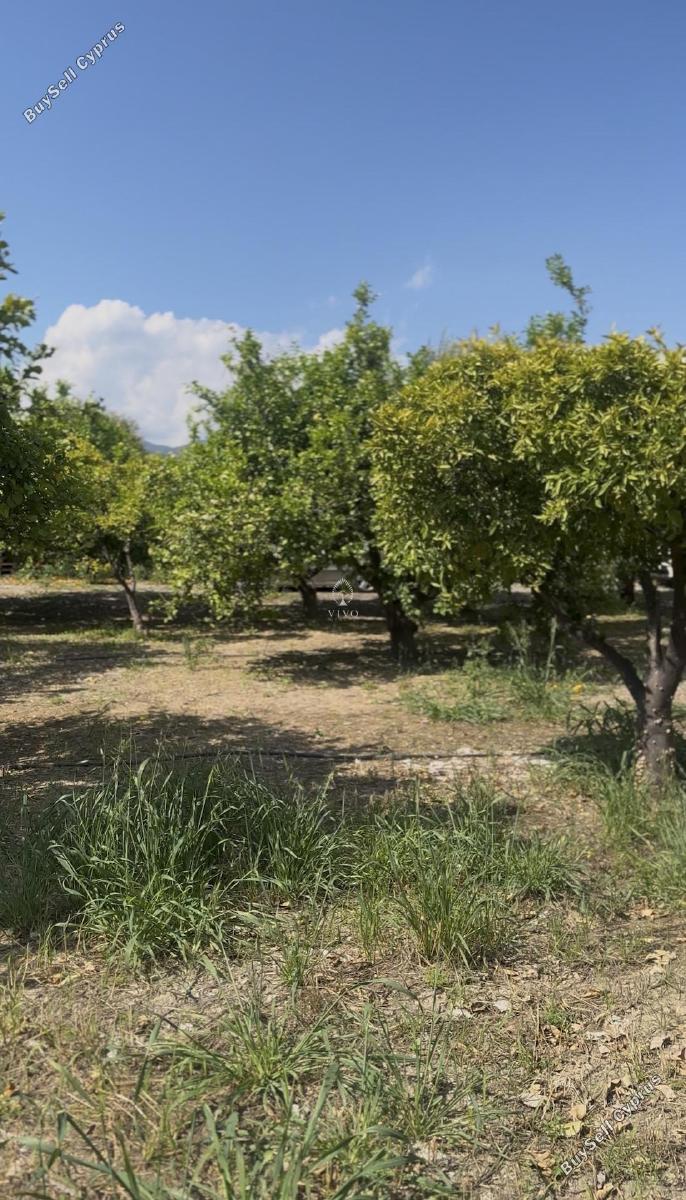 land for sale germasogeia limassol 8532341 image 17815009