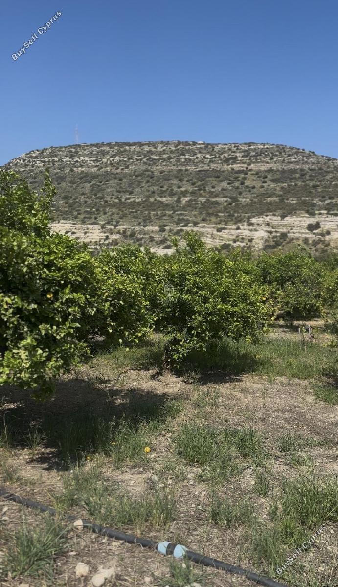 land for sale germasogeia limassol 8532341 image 17815015