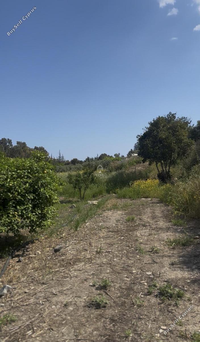 land for sale germasogeia limassol 8532341 image 17815027