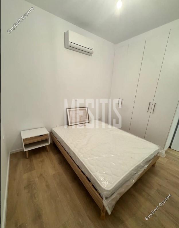 2 bedroom apartment for rent erimi limassol 8429441 image 15339754