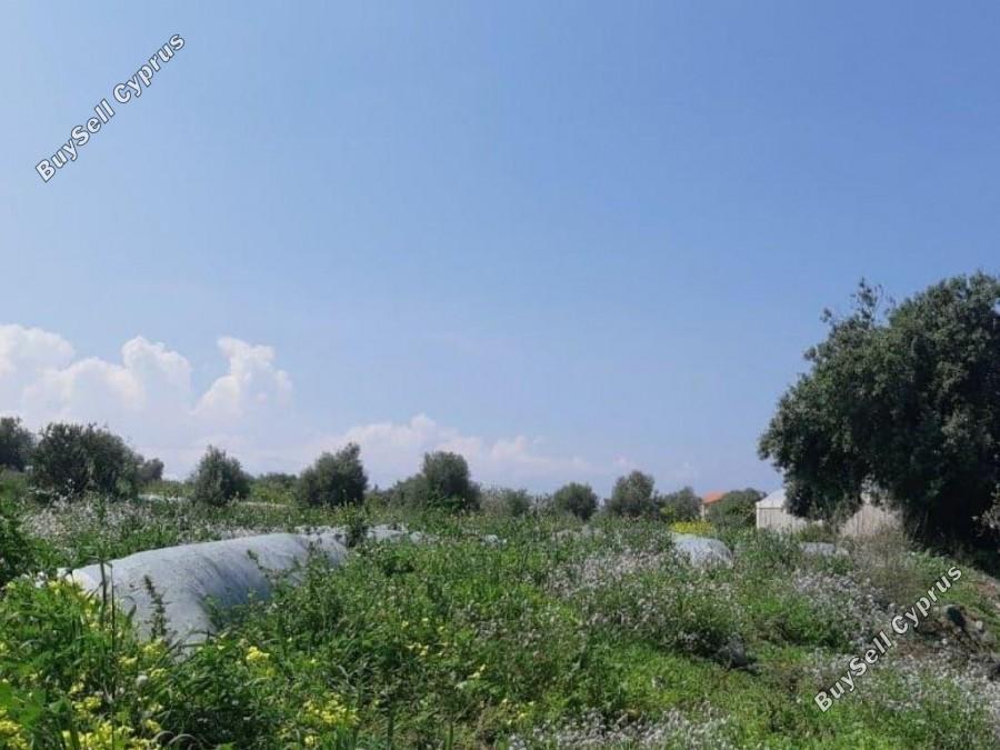 land for sale agia marina chrysochous paphos 1355441 image 9271387