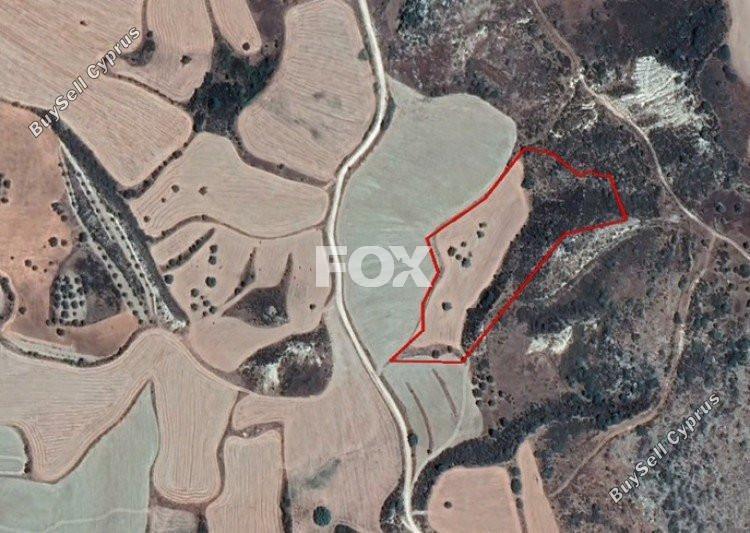14716 SQM Land for sale in Steni, Paphos 5525469