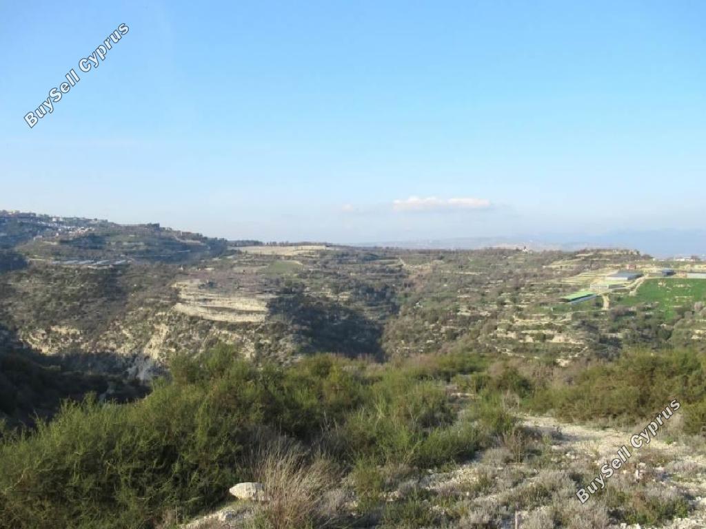 land for sale kallepeia paphos 1145541 image 15601937