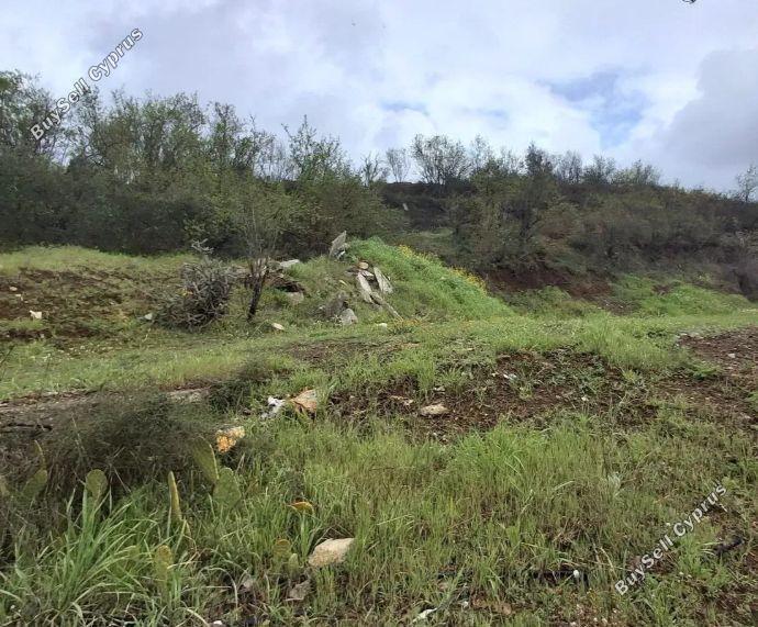 land for sale mandria lemesou limassol 8820541 image 16919956