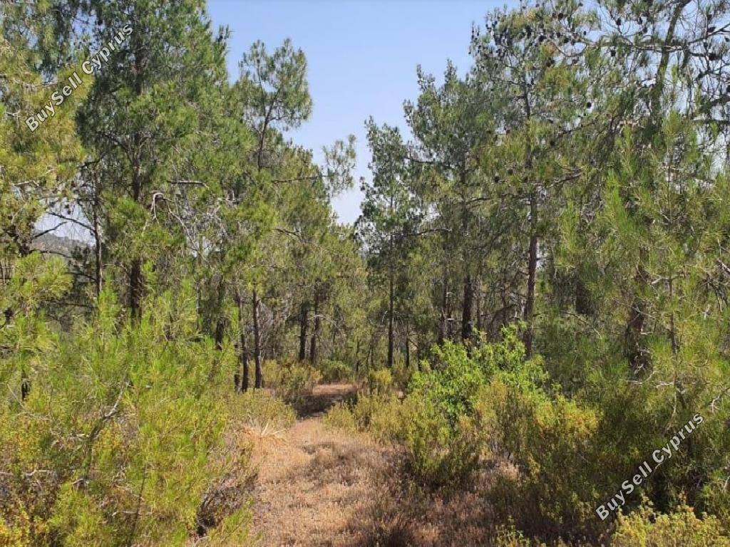 land for sale agios epifanios oreinis nicosia 1380641 image 3399690