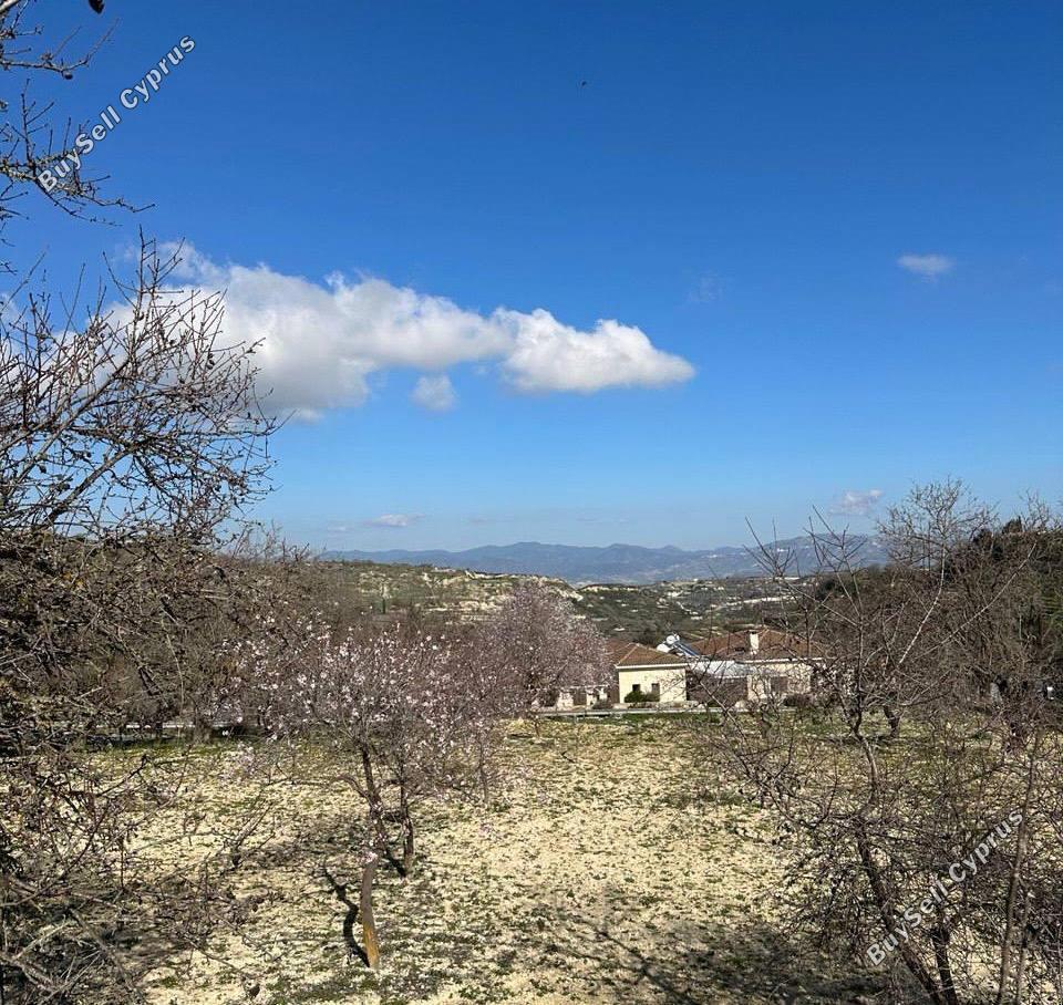 land for sale tsada paphos 8699641 image 16224171