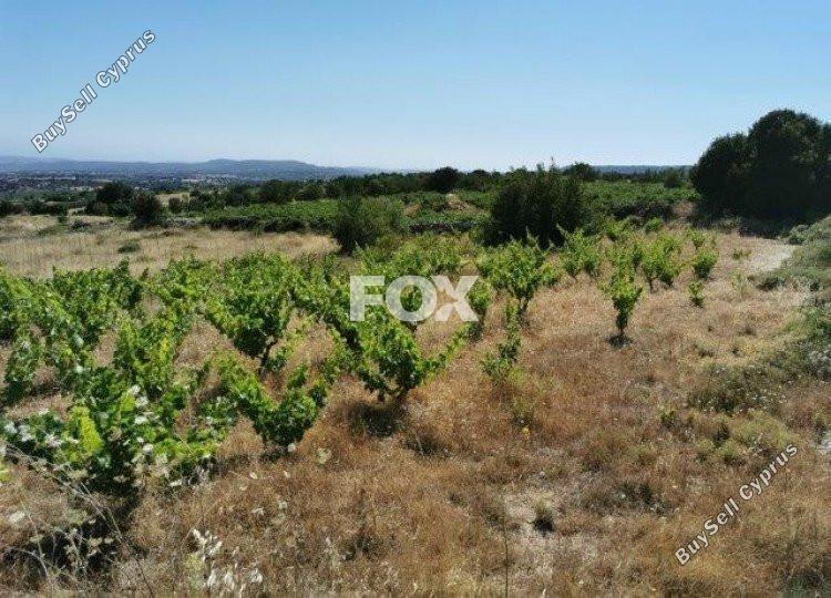 land for sale pachna limassol 1146741 image 5510118