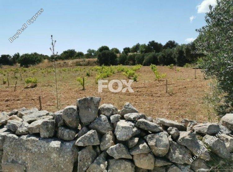 land for sale pachna limassol 1146741 image 5510125