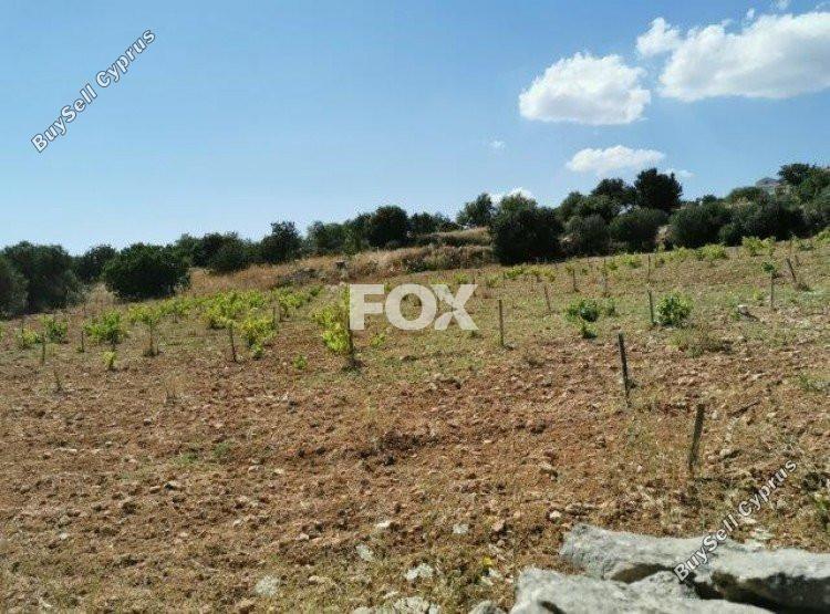 land for sale pachna limassol 1146741 image 5510129