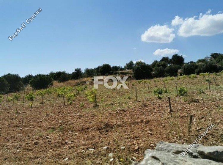 land for sale pachna limassol 1146741 image 5510136