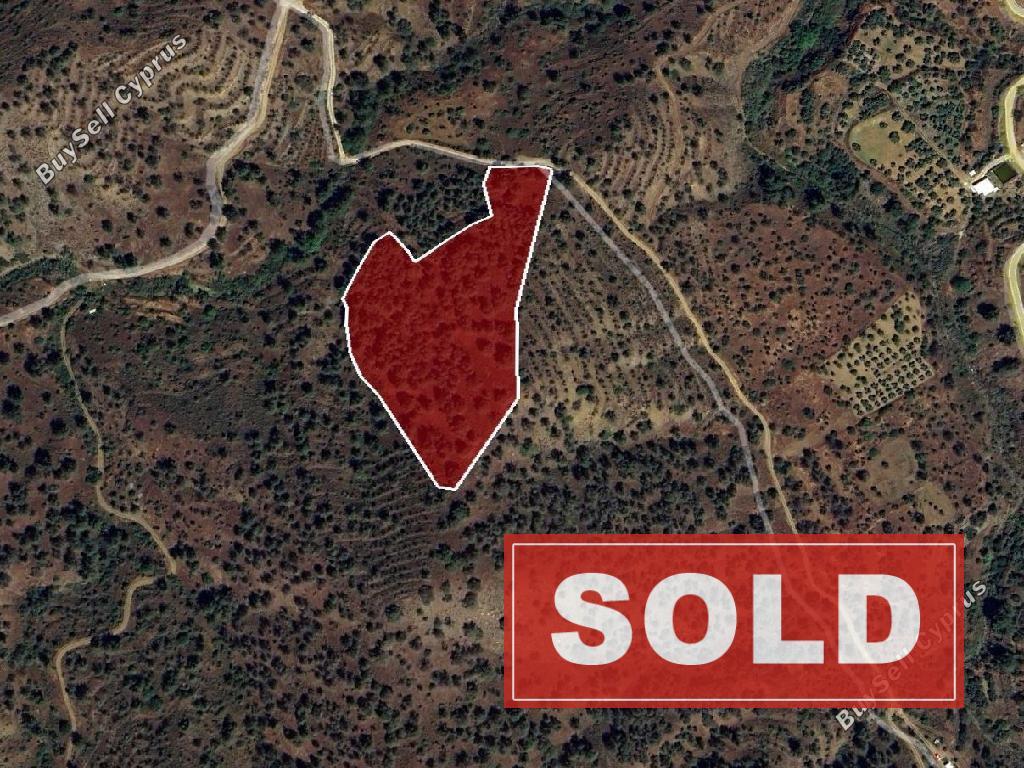 land sold agios theodoros soleas nicosia 8145741 image 13610355