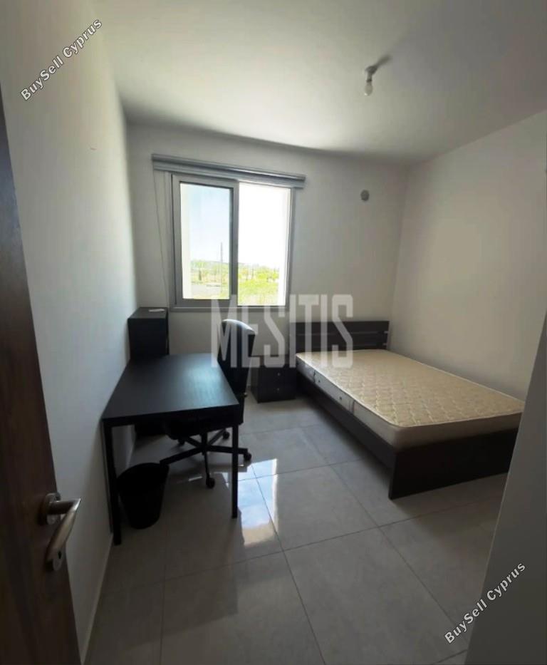 1 bedroom apartment for rent aglantzia nicosia 8798841 image 16725211