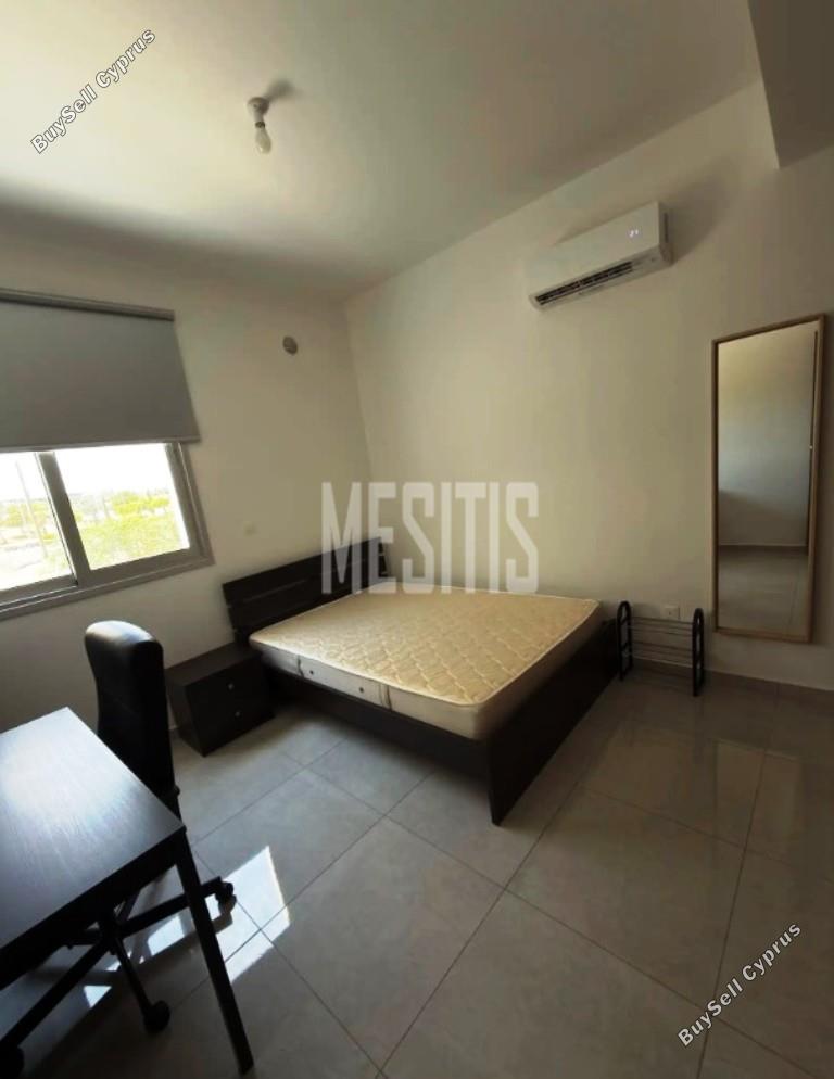 1 bedroom apartment for rent aglantzia nicosia 8798841 image 16725212