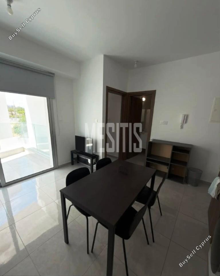 1 bedroom apartment for rent aglantzia nicosia 8798841 image 16725214