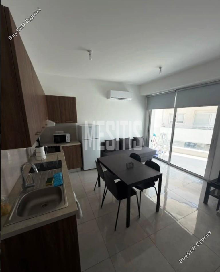 1 bedroom apartment for rent aglantzia nicosia 8798841 image 16725215