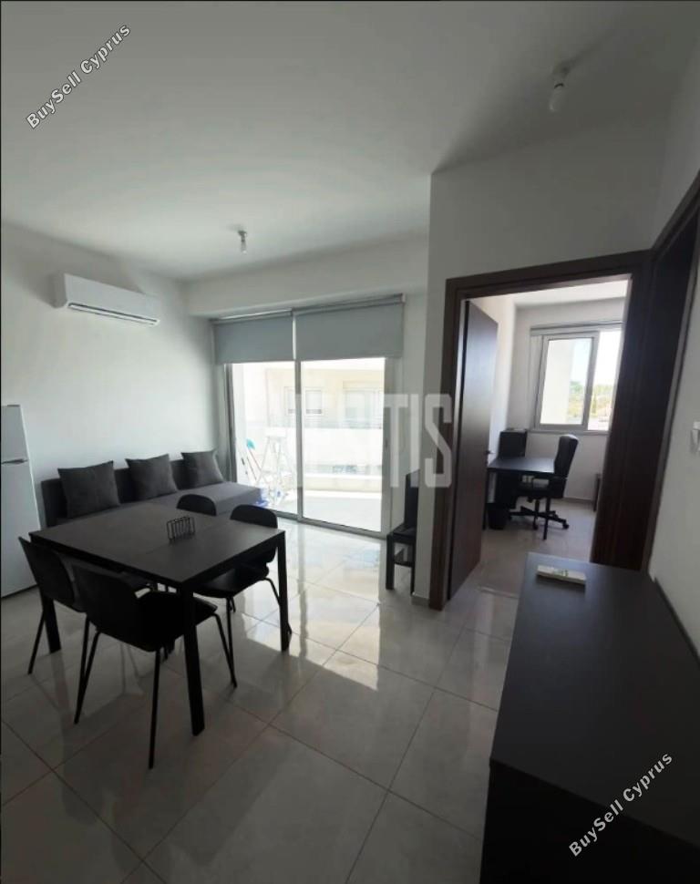 1 bedroom apartment for rent aglantzia nicosia 8798841 image 16725217