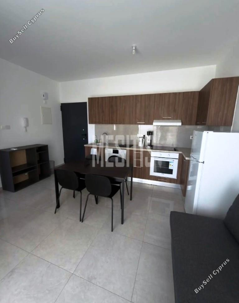 1 bedroom apartment for rent aglantzia nicosia 8798841 image 16725222