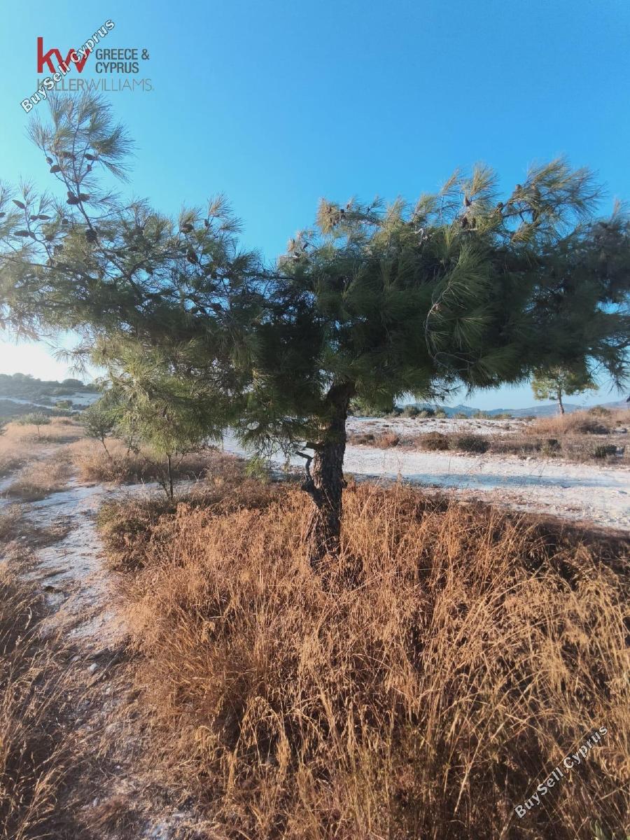 plot for sale vavla larnaca 7573841 image 16130168