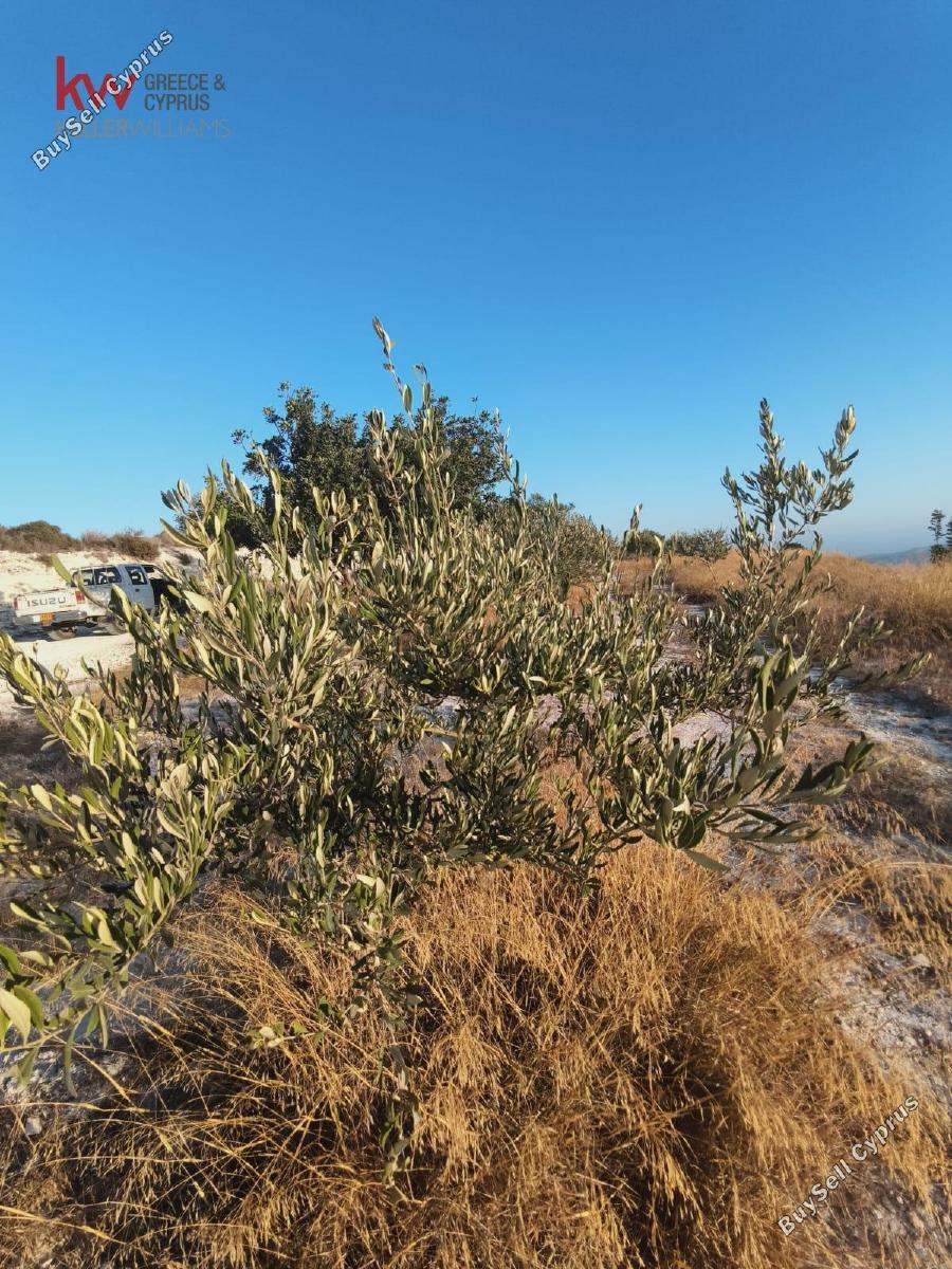 plot for sale vavla larnaca 7573841 image 16130169