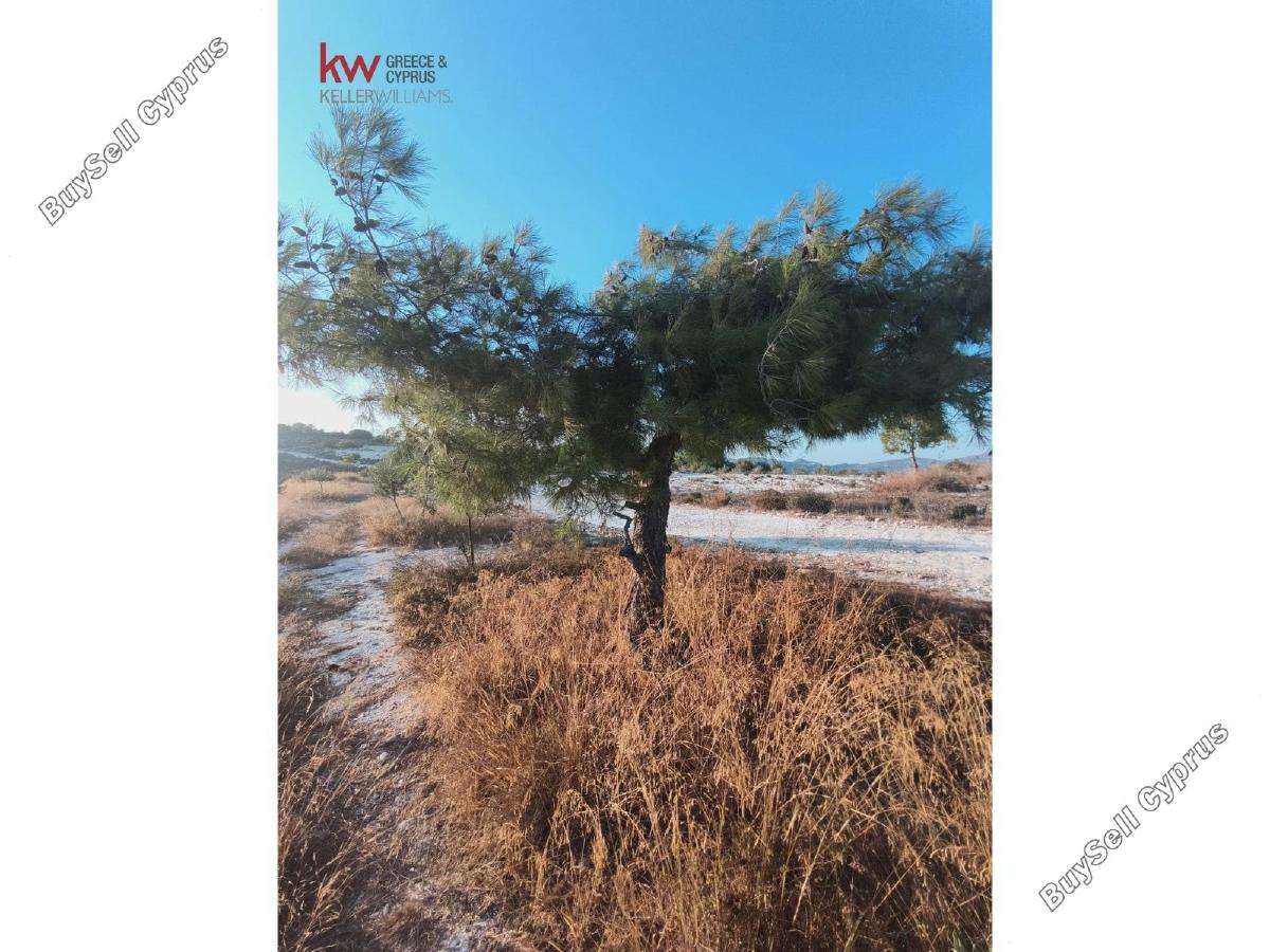 plot for sale vavla larnaca 7573841 image 18399070