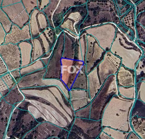 5352 SQM Land for sale in Drynia, Paphos 9695575