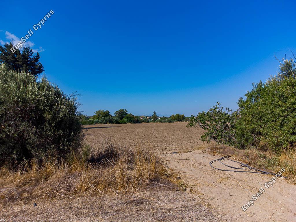 land for sale dali nicosia 939941 image 15601095