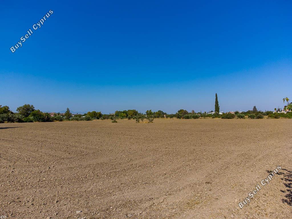 land for sale dali nicosia 939941 image 15601098