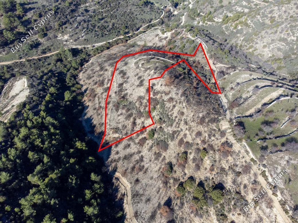 land for sale mousere paphos 839941 image 5481432