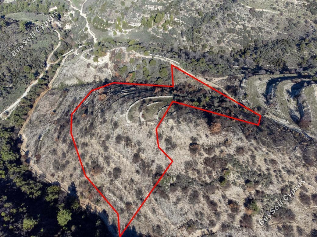 land for sale mousere paphos 839941 image 5481439