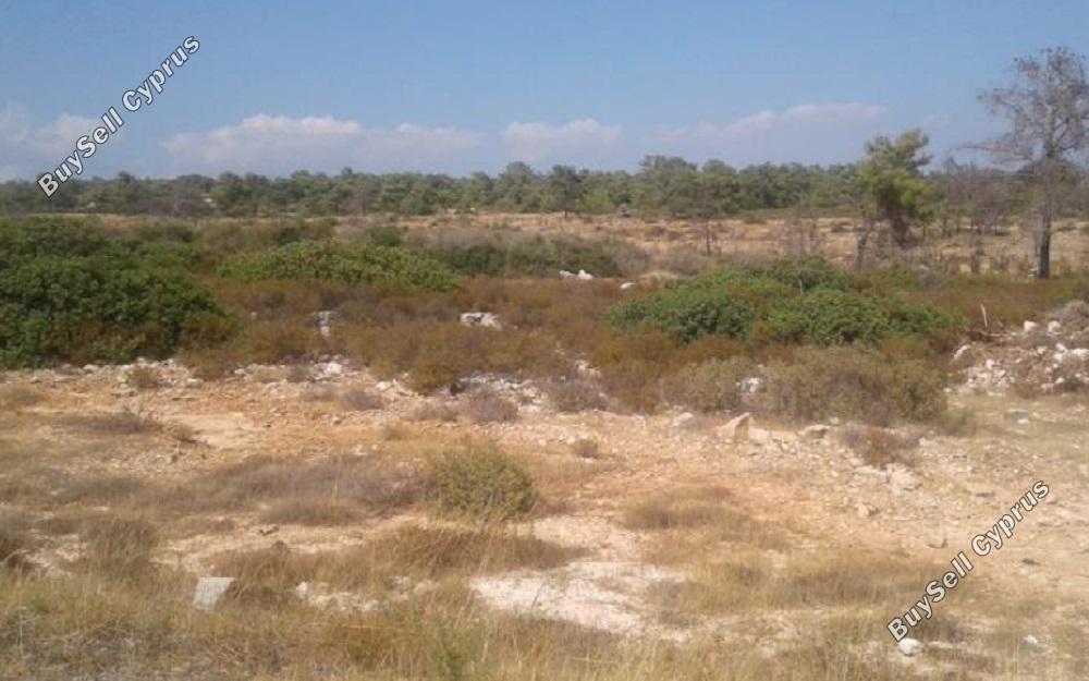 land for sale souni zanakia limassol 828941 image 11081759