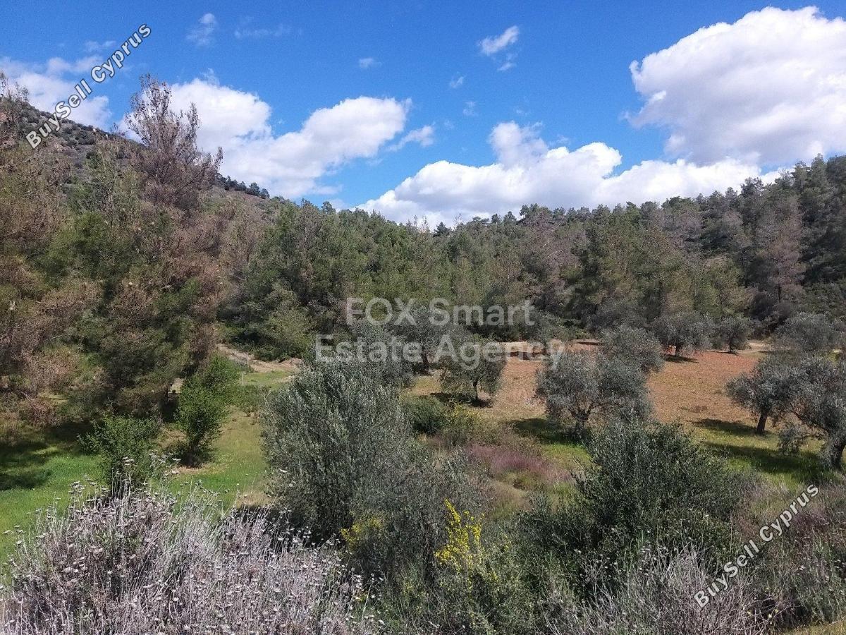 land for sale lythrodontas nicosia 1152051 image 5146554