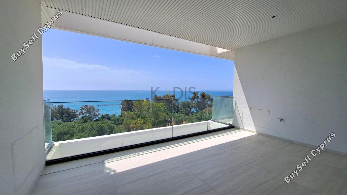 1 bedroom apartment for rent potamos germasogeias limassol 8759151 image 16533489