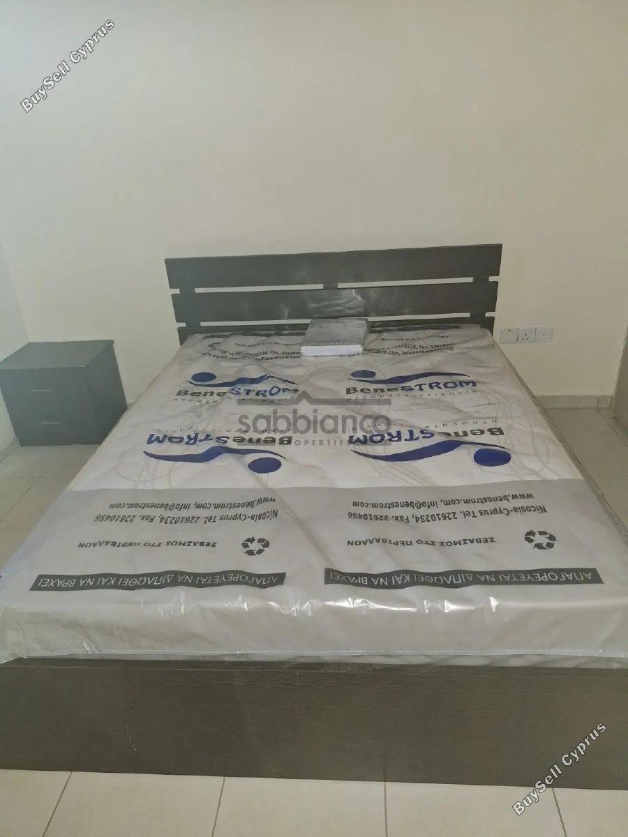 2 bedroom apartment for rent tersefanou larnaca 8739151 image 16367999