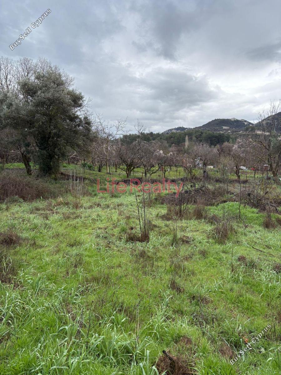land for sale mandria lemesou limassol 8598151 image 16562005