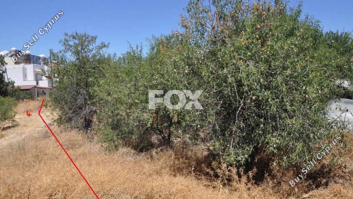 land for sale prodromi paphos 1160151 image 5537444