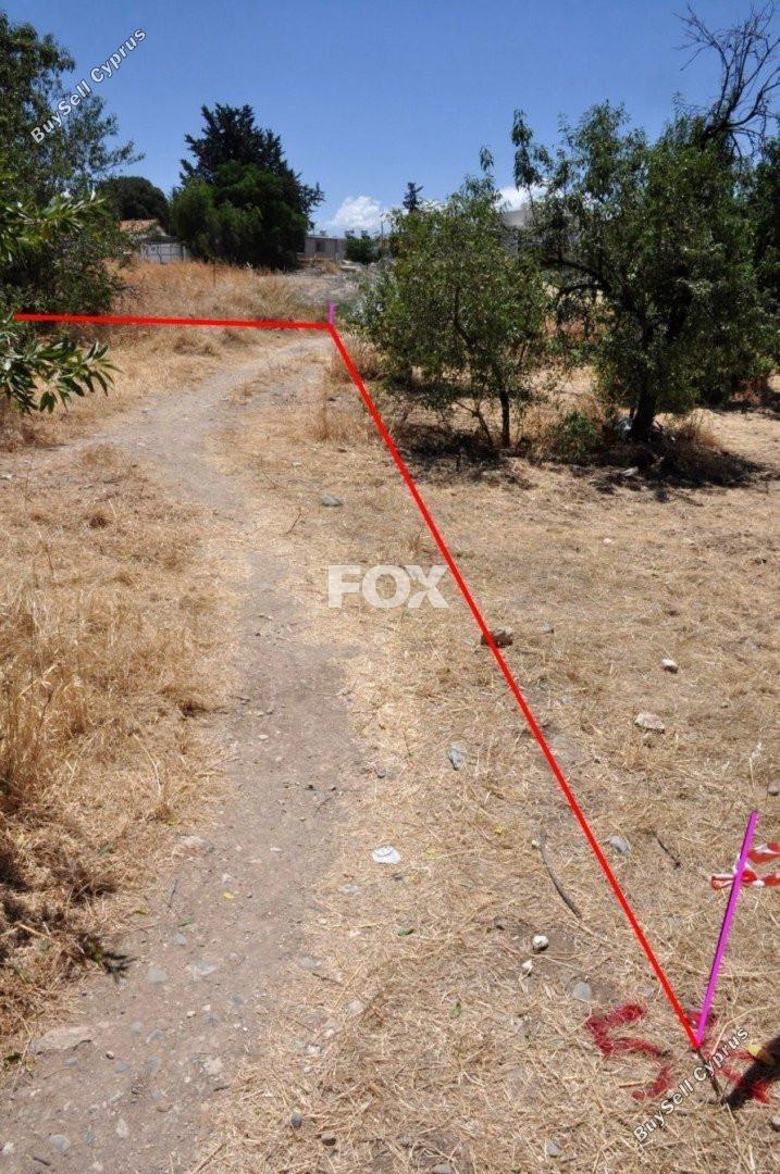 land for sale prodromi paphos 1160151 image 5537456