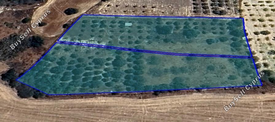 land for sale pyla larnaca 1308151 image 16192185
