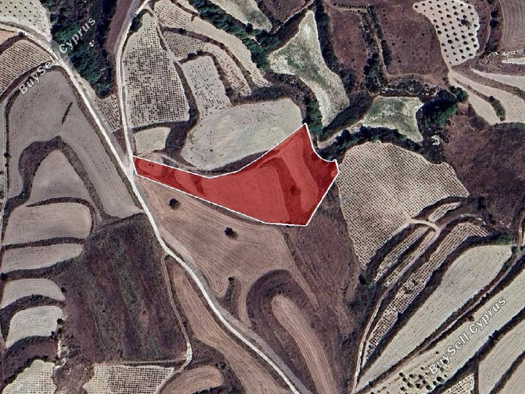 land for sale stroumbi paphos 8532151 image 16306063