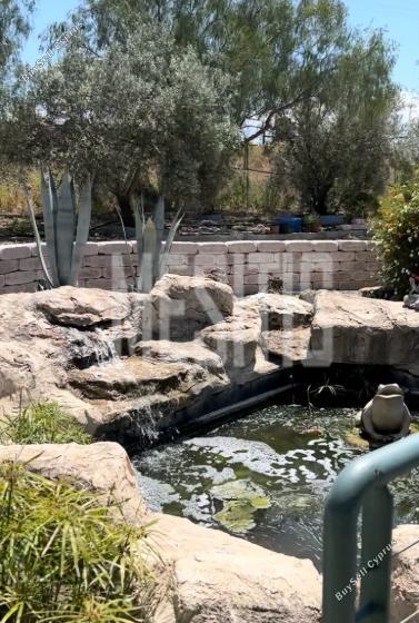 3 bedroom detached house for rent deneia nicosia 7798251 image 10546990