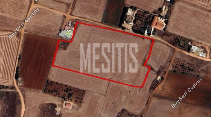 land for sale avgorou famagusta 1815251 image 12887909