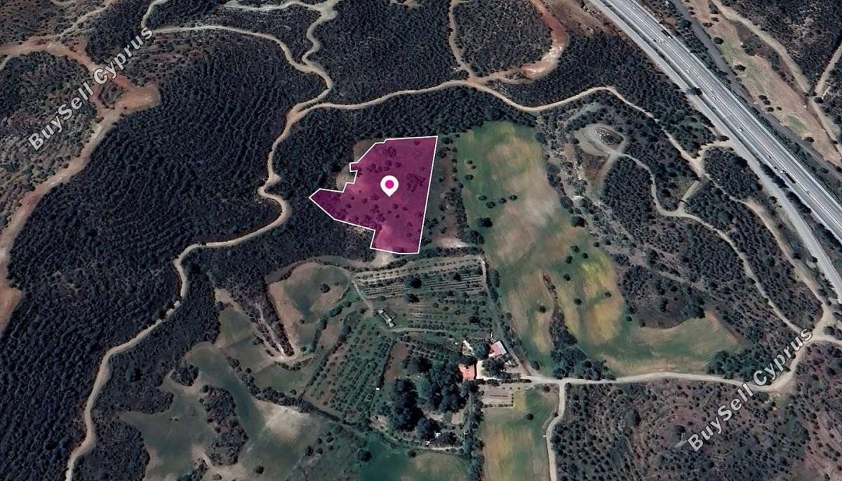 land for sale kofinou larnaca 8629351 image 15867463