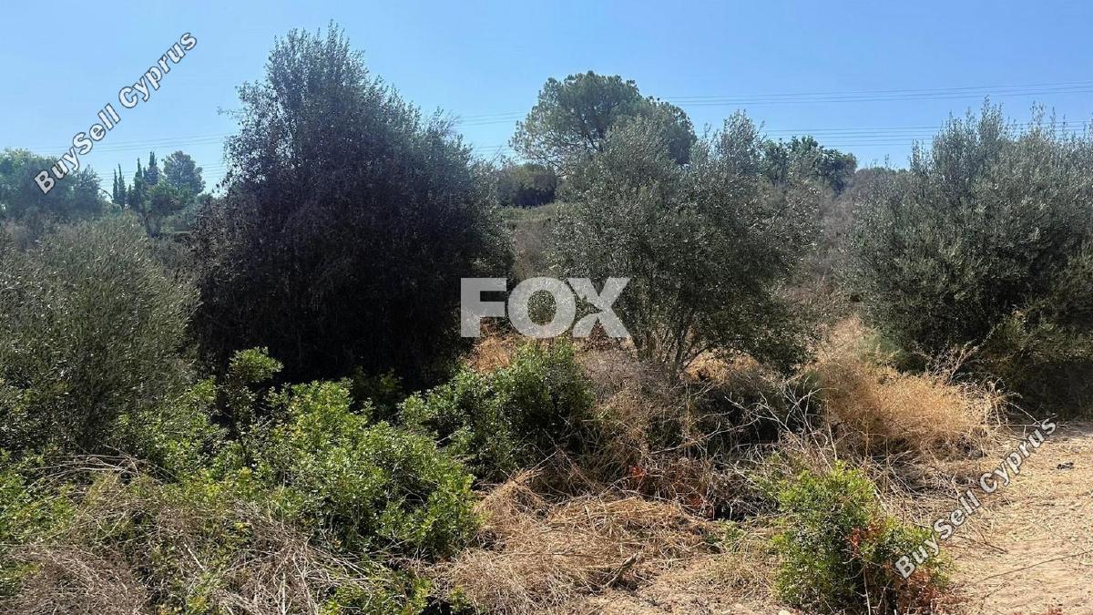 land for sale kouklia pafou paphos 1437351 image 10036156