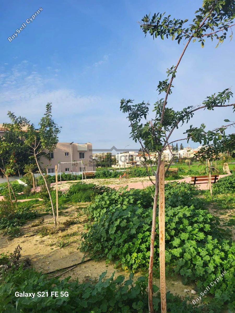 1 bedroom apartment for rent tersefanou larnaca 8738451 image 16361892