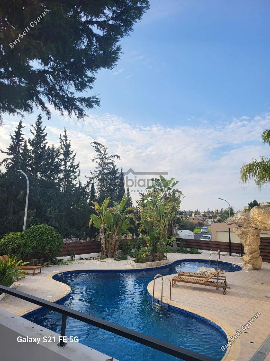 1 bedroom apartment for rent tersefanou larnaca 8738451 image 16361909