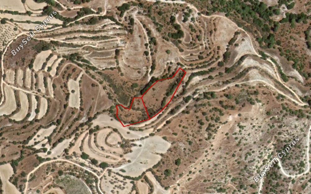 9031 SQM Land for sale in Amargeti, Paphos 15177842