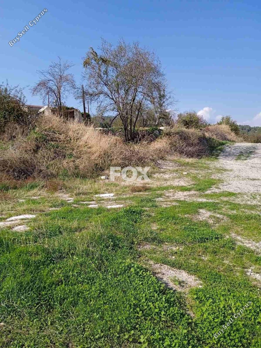 land for sale arminou paphos 1270451 image 10033452
